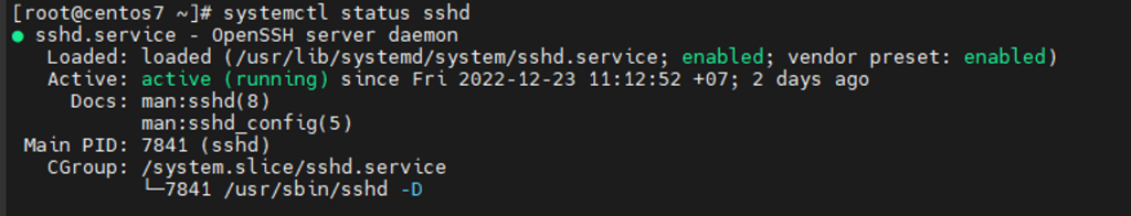 Kiểm tra sshd trên Linux
