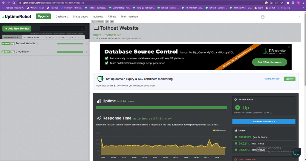 Uptime Robot Settings